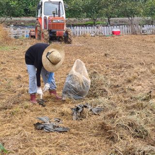 농부여사님의 함께 일하는 동료는 몇명인가요? · 참여글 작성글 사진