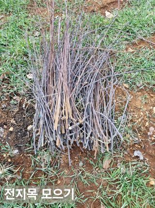 풍요님의 함께 일하는 동료는 몇명인가요? · 참여글 작성글 사진