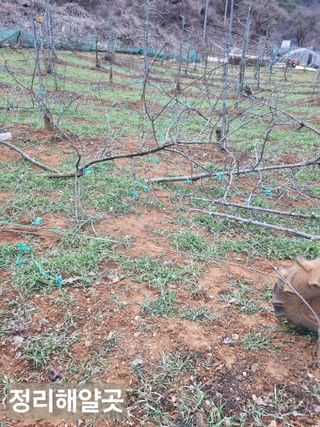 풍요님의 함께 일하는 동료는 몇명인가요? · 참여글 작성글 사진