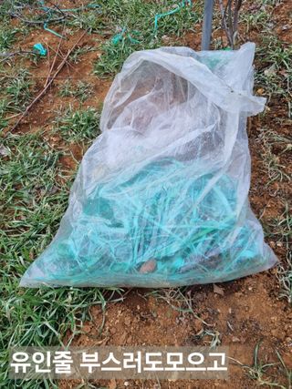 풍요님의 함께 일하는 동료는 몇명인가요? · 참여글 작성글 사진