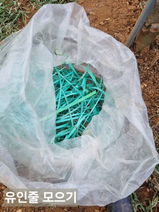 풍요님의 함께 일하는 동료는 몇명인가요? · 참여글 작성글 사진