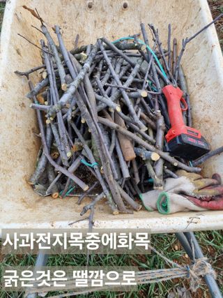 풍요님의 함께 일하는 동료는 몇명인가요? · 참여글 작성글 사진