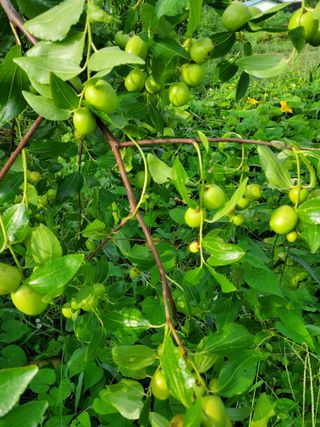 휘성님의 함께 일하는 동료는 몇명인가요? · 참여글 작성글 사진