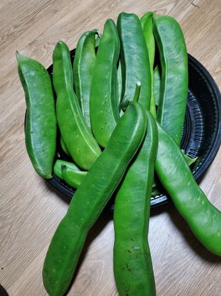 휘성님의 함께 일하는 동료는 몇명인가요? · 참여글 작성글 사진