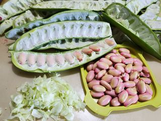 휘성님의 함께 일하는 동료는 몇명인가요? · 참여글 작성글 사진