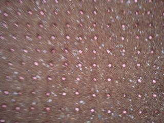 마정숙님의 고추 · 일상 작성글 사진