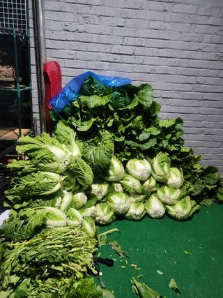 감20617님의 함께 일하는 동료는 몇명인가요? · 참여글 작성글 사진