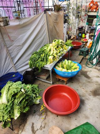 감20617님의 함께 일하는 동료는 몇명인가요? · 참여글 작성글 사진