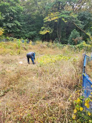감20617님의 함께 일하는 동료는 몇명인가요? · 참여글 작성글 사진