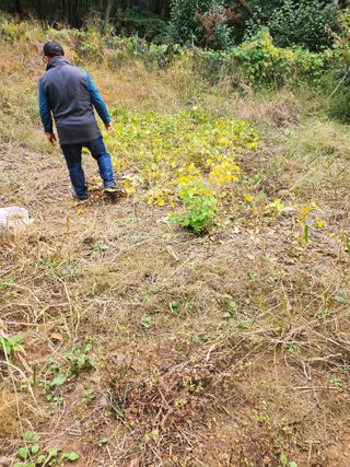 감20617님의 함께 일하는 동료는 몇명인가요? · 참여글 작성글 사진