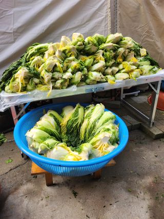 감20617님의 함께 일하는 동료는 몇명인가요? · 참여글 작성글 사진