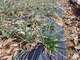 박귀님의 자유주제 · 자유게시판 작성글 사진