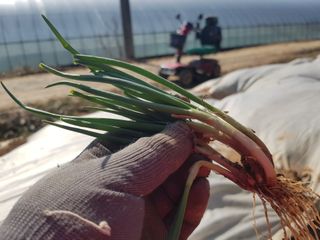 박귀님의 자유주제 · 자유게시판 작성글 사진