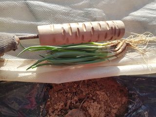 박귀님의 자유주제 · 자유게시판 작성글 사진