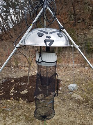 당근한개님의 고추 · 자연재해•동물피해 작성글 사진