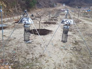 당근한개님의 고추 · 자연재해•동물피해 작성글 사진