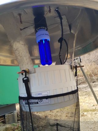 당근한개님의 고추 · 자연재해•동물피해 작성글 사진