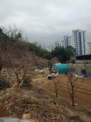 봉림동664태진농장님의 농사, 무엇이든 물어보세요! · 참여글 작성글 사진