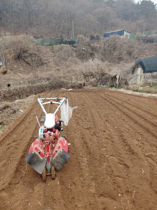 봉림동664태진농장님의 농사, 무엇이든 물어보세요! · 참여글 작성글 사진