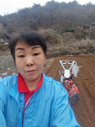 봉림동664태진농장님의 농사, 무엇이든 물어보세요! · 참여글 작성글 사진