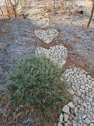 감자20359님의 함께 일하는 동료는 몇명인가요? · 참여글 작성글 사진