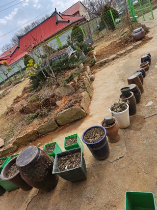 감자20359님의 함께 일하는 동료는 몇명인가요? · 참여글 작성글 사진