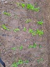 팜모닝 기타작물·자유게시판 게시글 이미지