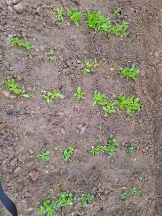 희원님의 기타작물 · 자유게시판 작성글 사진