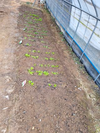 희원님의 기타작물 · 자유게시판 작성글 사진