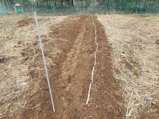 들꽃농장님의 자유주제 · 자유게시판 작성글 사진