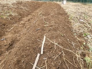 들꽃농장님의 자유주제 · 자유게시판 작성글 사진