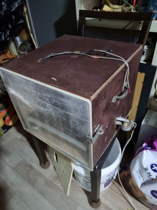 풍요님의 사과 · 일상 작성글 사진