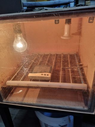 풍요님의 사과 · 일상 작성글 사진