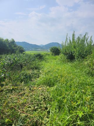 박미란님의 함께 일하는 동료는 몇명인가요? · 참여글 작성글 사진