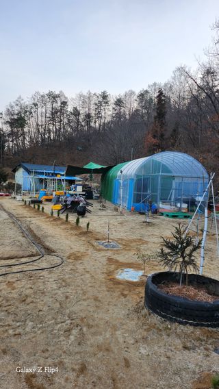 회야농원(정창규)님의 함께 일하는 동료는 몇명인가요? · 참여글 작성글 사진