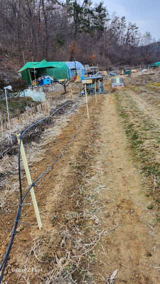 회야농원(정창규)님의 함께 일하는 동료는 몇명인가요? · 참여글 작성글 사진