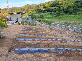 최정이님의 함께 일하는 동료는 몇명인가요? · 참여글 작성글 사진