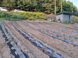 최정이님의 함께 일하는 동료는 몇명인가요? · 참여글 작성글 사진