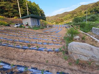 최정이님의 함께 일하는 동료는 몇명인가요? · 참여글 작성글 사진