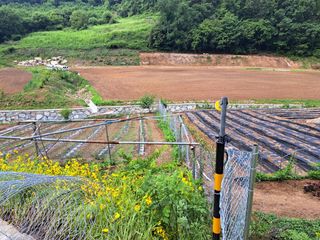 최정이님의 함께 일하는 동료는 몇명인가요? · 참여글 작성글 사진