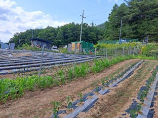 최정이님의 함께 일하는 동료는 몇명인가요? · 참여글 작성글 사진