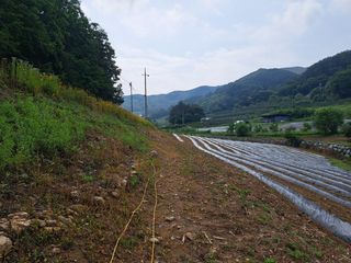 최정이님의 함께 일하는 동료는 몇명인가요? · 참여글 작성글 사진