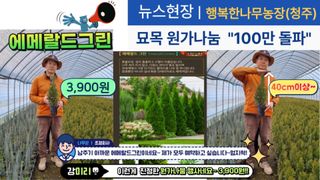 행복한나무농장님의 자유주제 · 자유게시판 작성글 사진