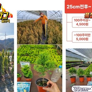 행복한나무농장님의 자유주제 · 자유게시판 작성글 사진