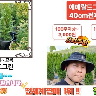 행복한나무농장님의 자유주제 · 자유게시판 작성글 사진