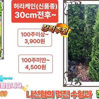 행복한나무농장님의 자유주제 · 자유게시판 작성글 사진