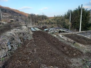 한골머스마님의 콩 · 영농일지 작성글 사진