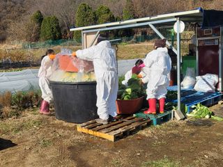 들꽃농장님의 함께 일하는 동료는 몇명인가요? · 참여글 작성글 사진