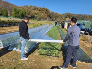 들꽃농장님의 함께 일하는 동료는 몇명인가요? · 참여글 작성글 사진
