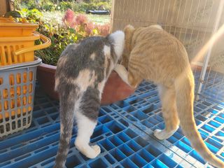 들꽃농장님의 함께 일하는 동료는 몇명인가요? · 참여글 작성글 사진